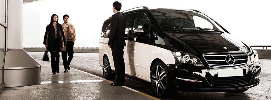 vip turizm taşımacılık